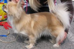 pienetsin1