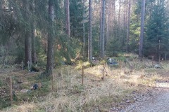 hautaus_3